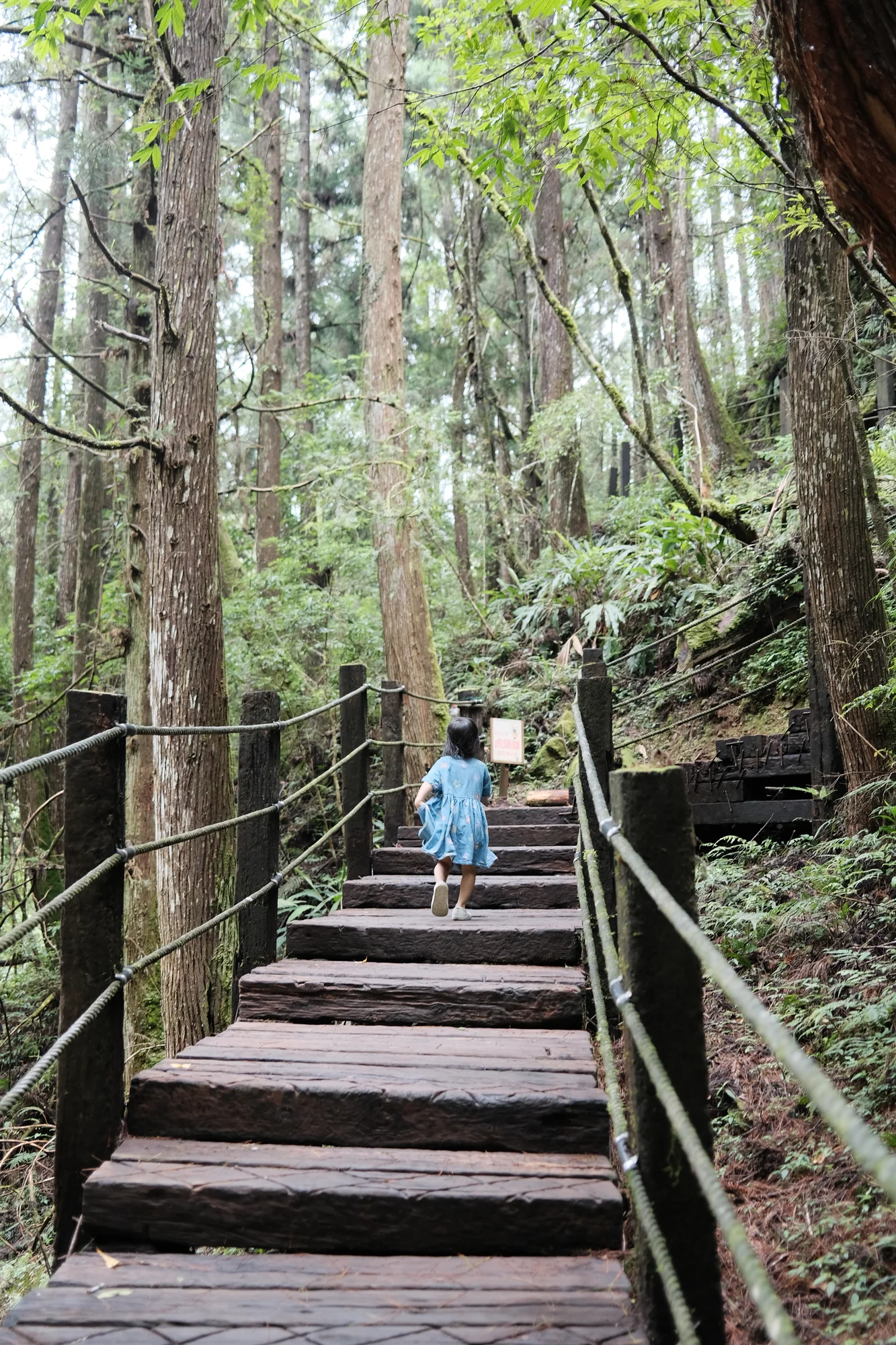 很有活力的女兒