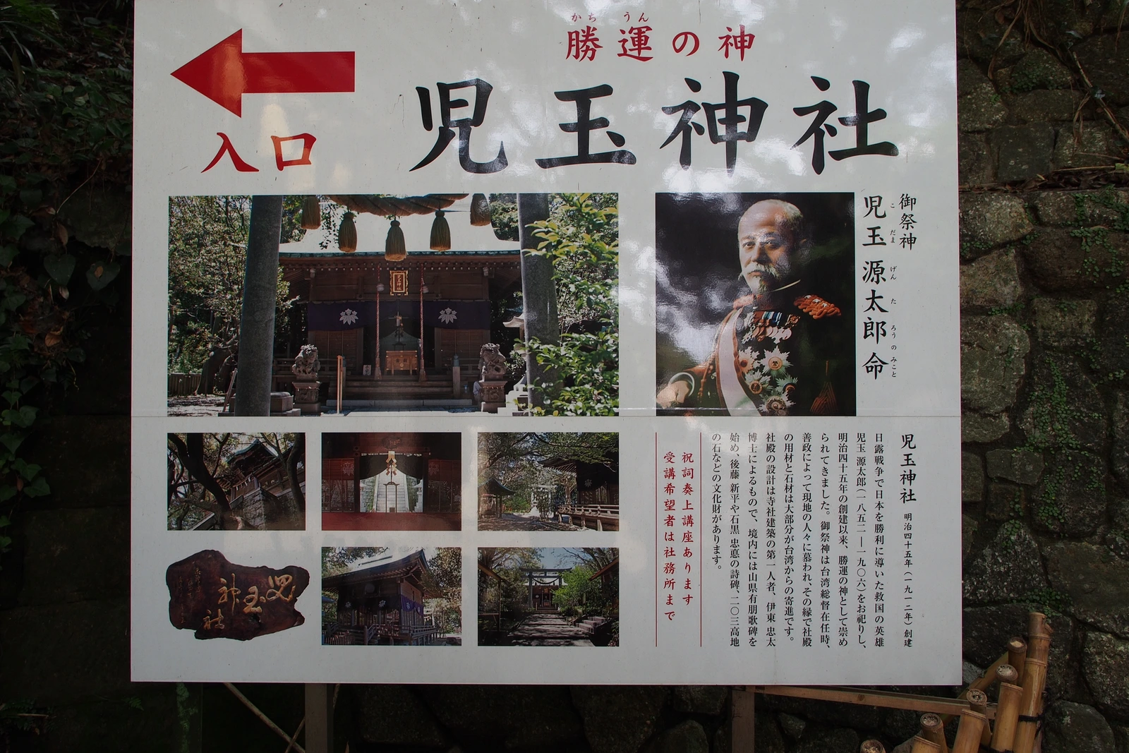 這個熟悉的身影