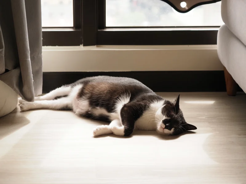 仕事雑談：AIで効率は上がった。でも、本当に成果も増えたのか？