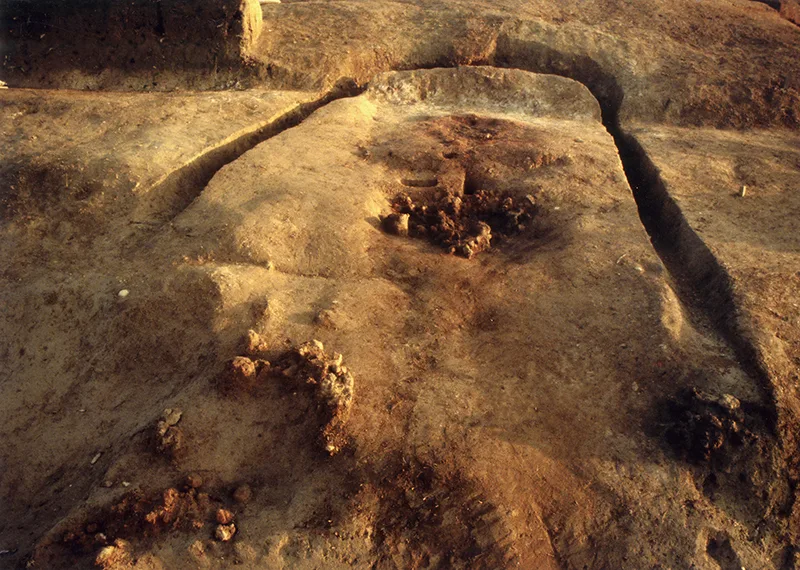 蓮代寺ムコンヤマ遺跡・製鐵爐
