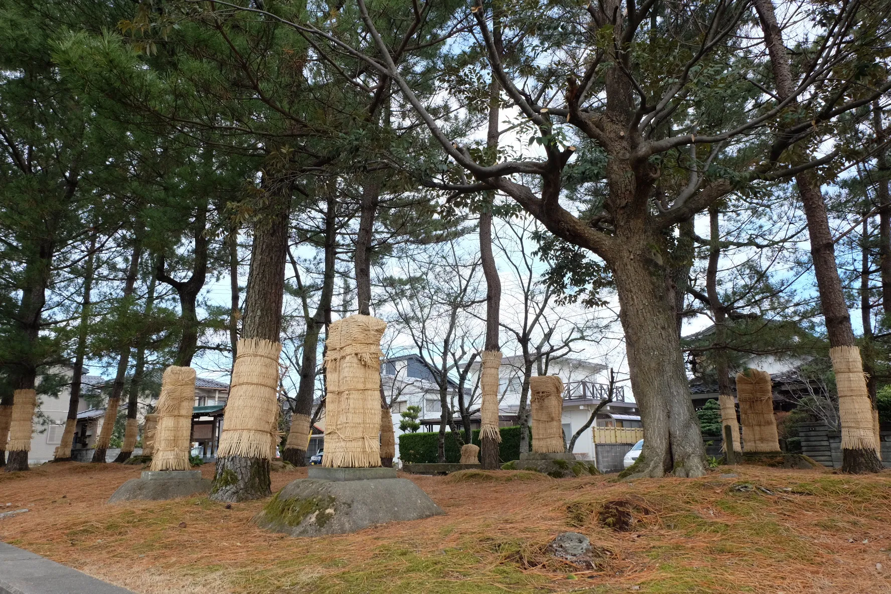 浅井畷古戦場（小松市大領町）