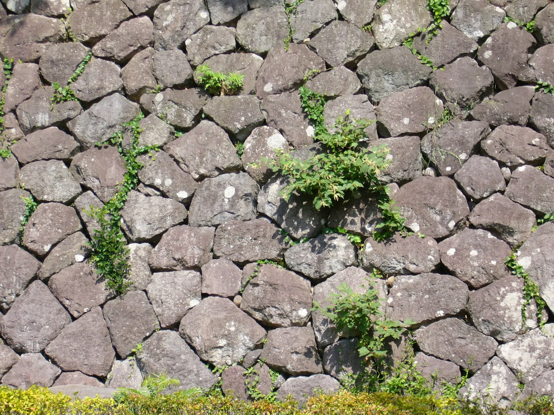 金沢城の石垣