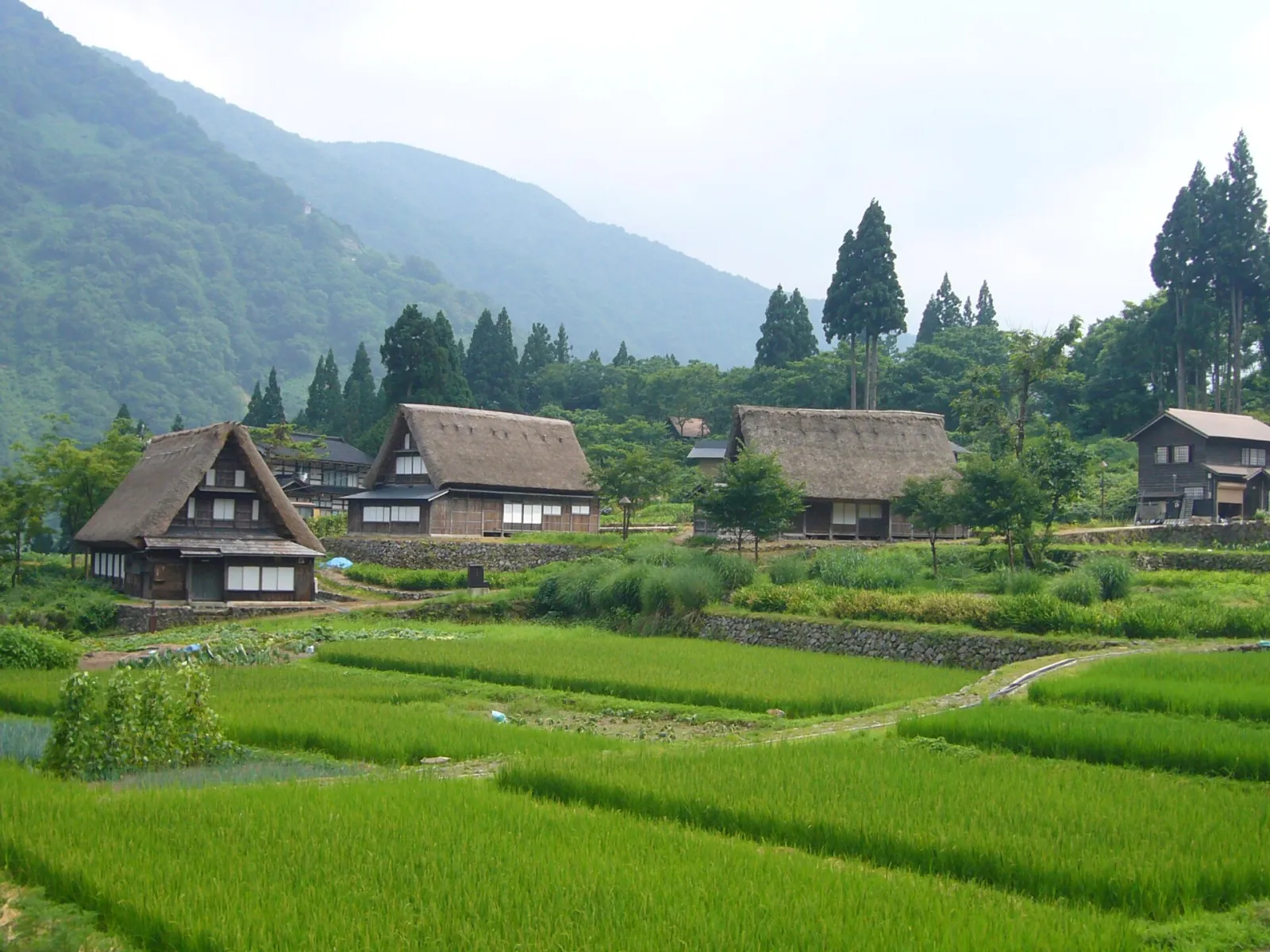 五箇山的相倉合掌造聚落（2006 年）