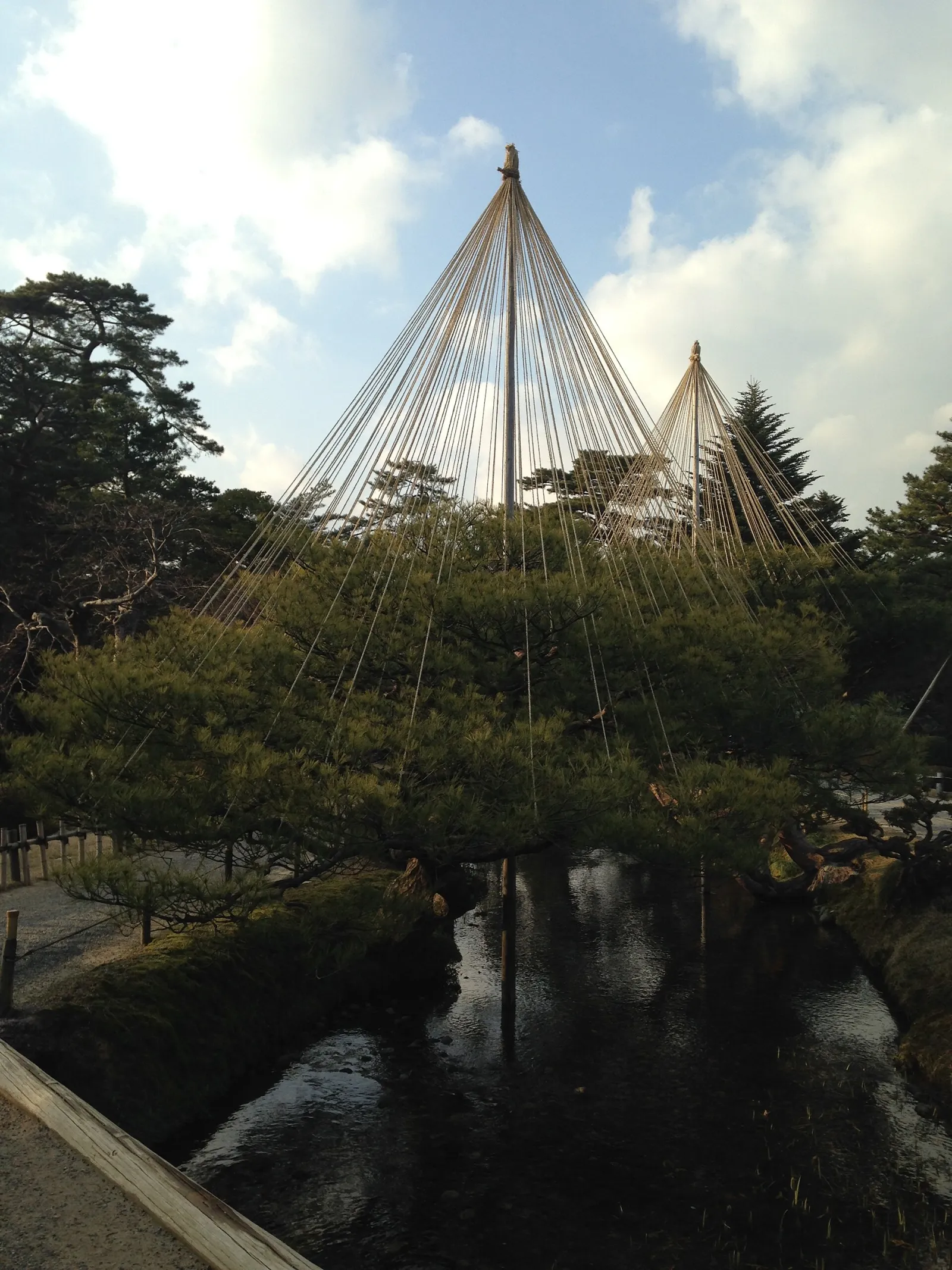 兼六園の雪吊り（2015 年 1 月）