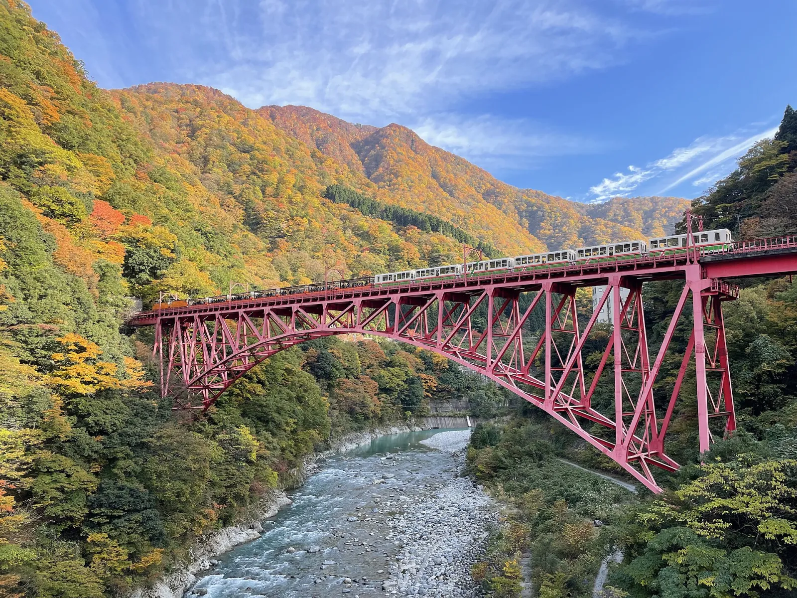 紅葉の新山彦橋を渡るトロッコ電車（2025 年 11 月 8 日）