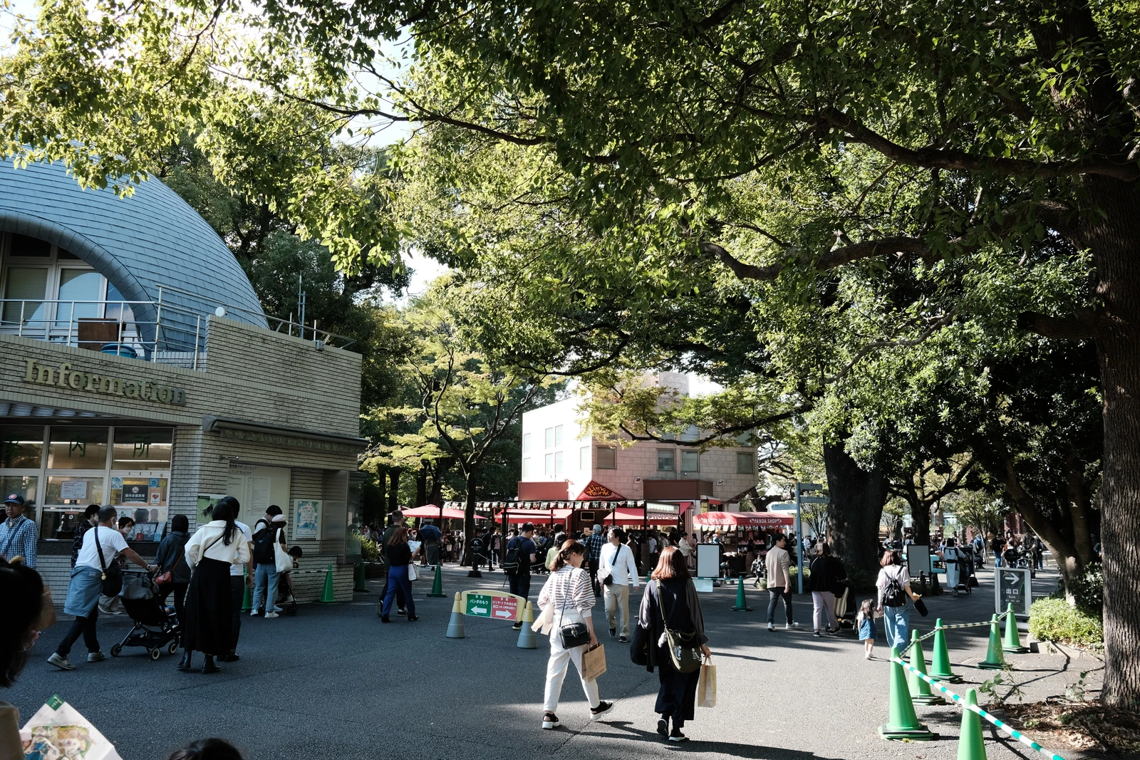 東京旅遊 上野動物園
