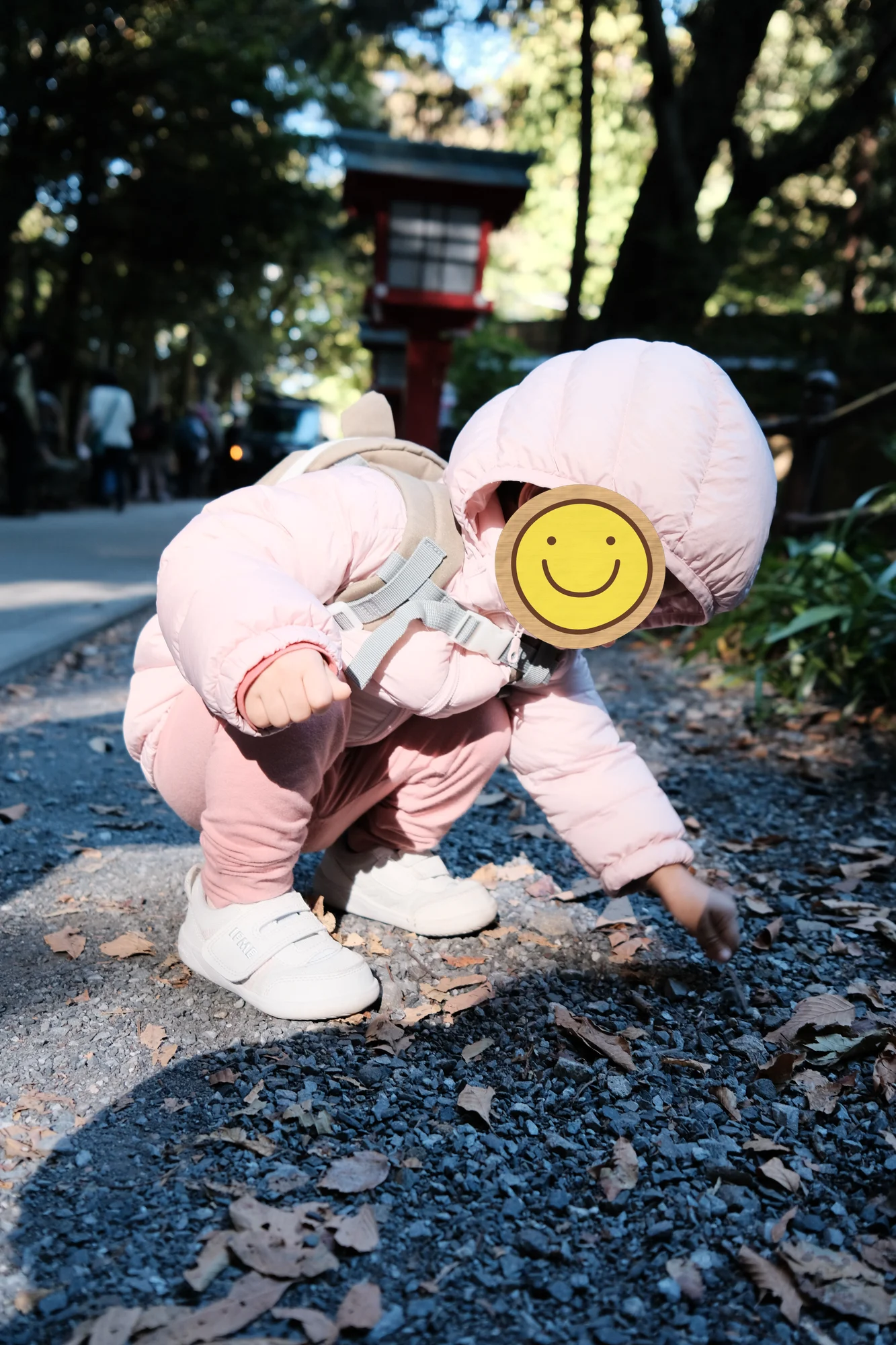 戳戳石頭