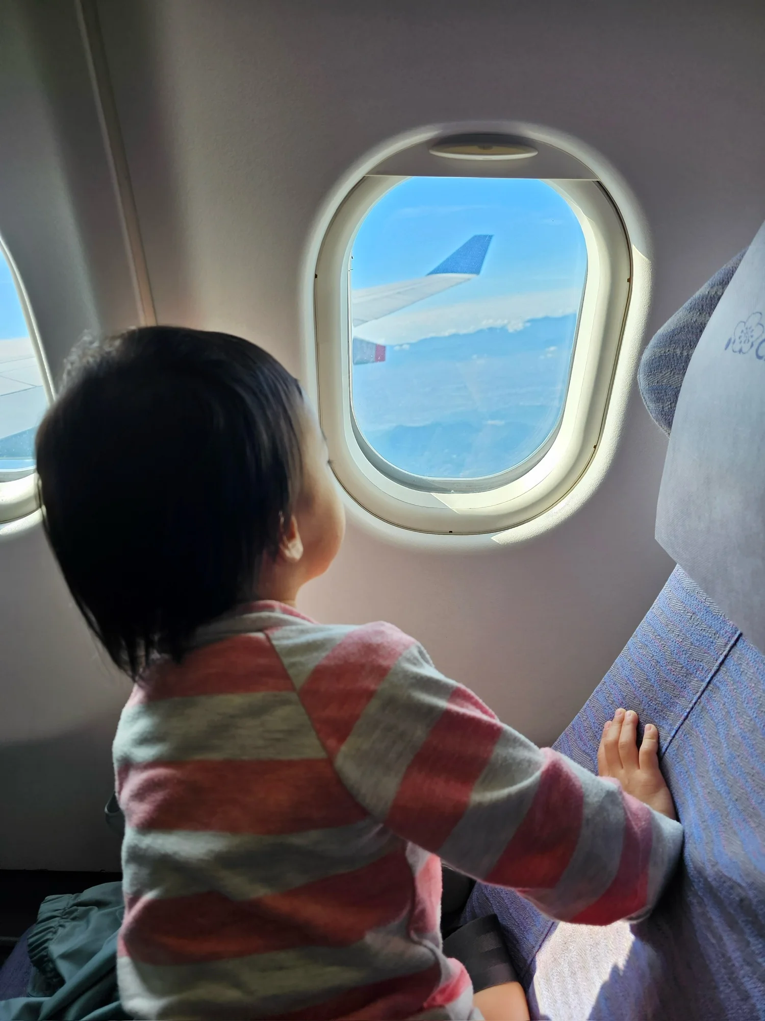 We paid extra for a window seat