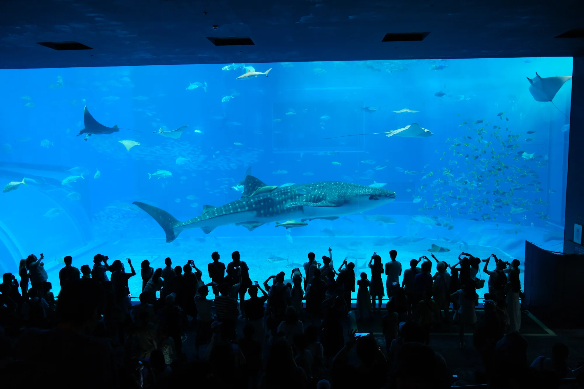 Summer in Okinawa Day 2