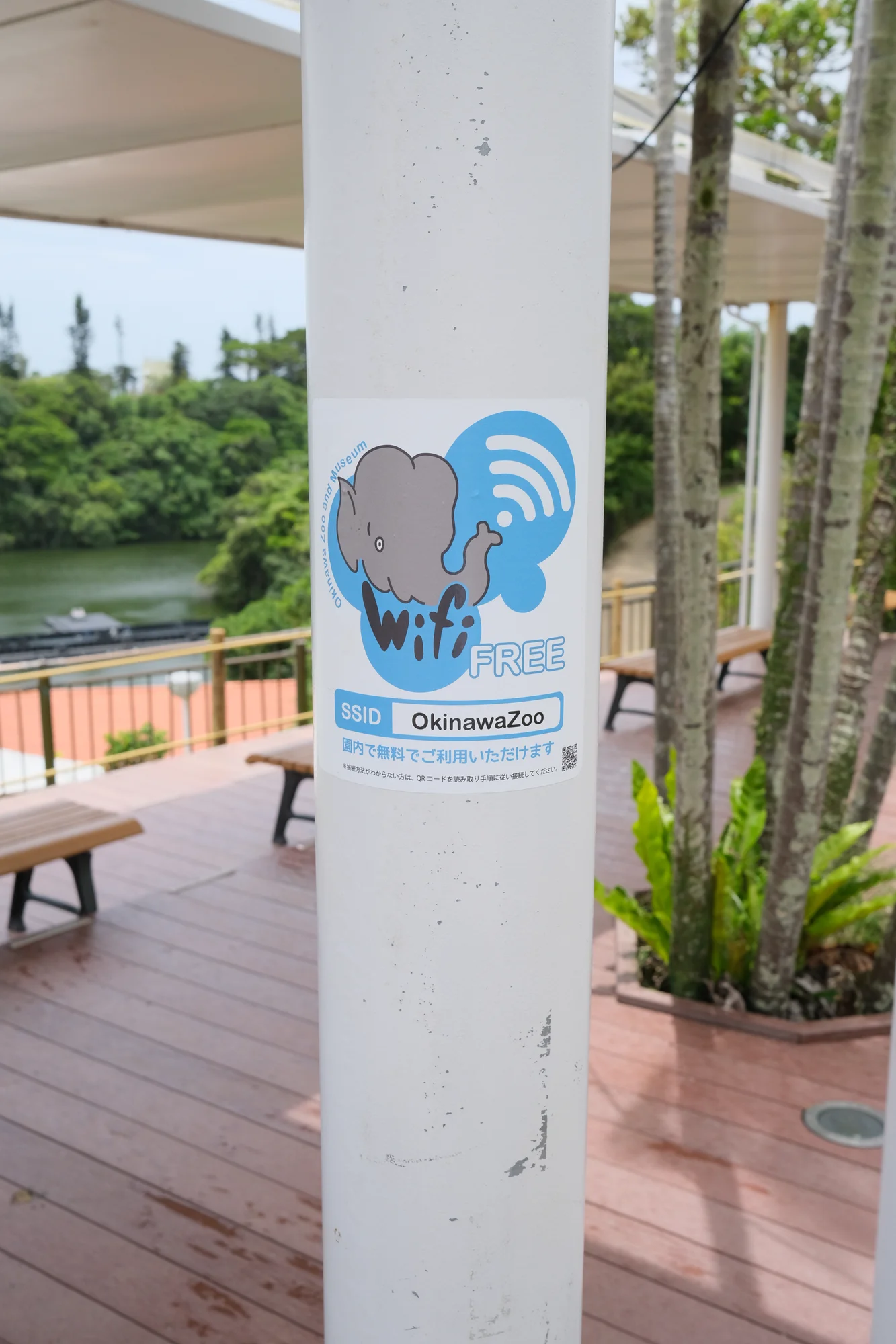 Wi-Fi elephant