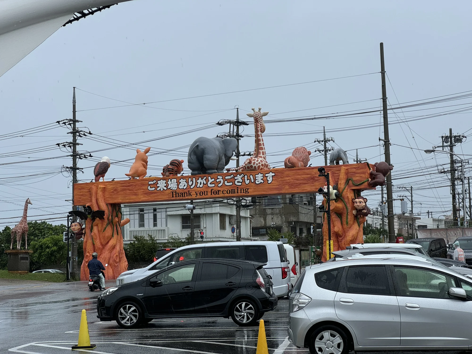 Goodbye, zoo