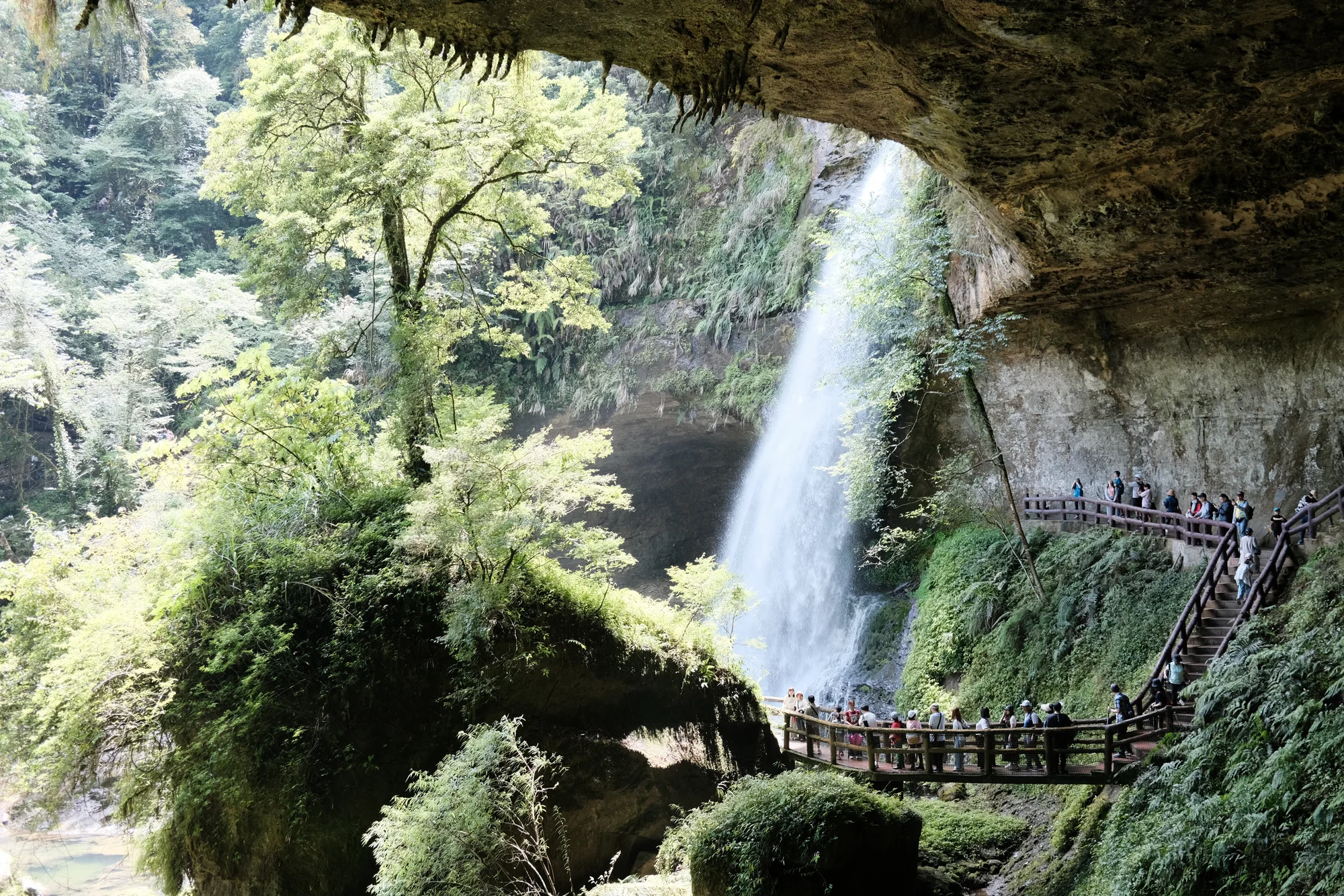 アジサイの季節に杉林溪へ — 4歳の娘と初めての山旅