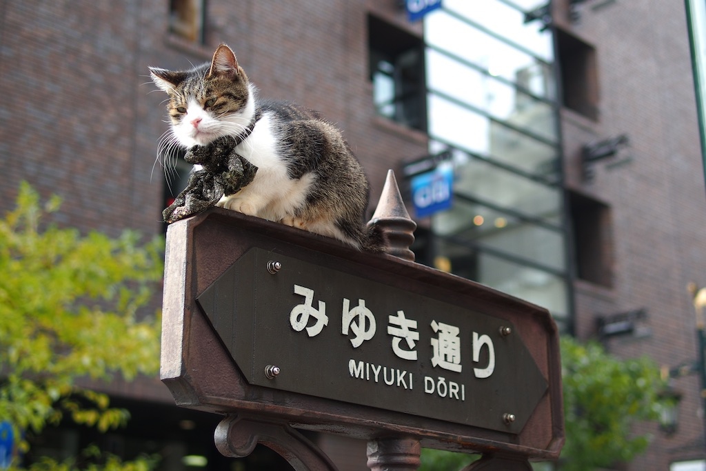 PB094337.jpg PB094337.jpg