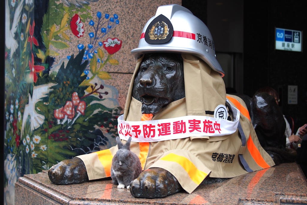 PB094354.jpg PB094354.jpg