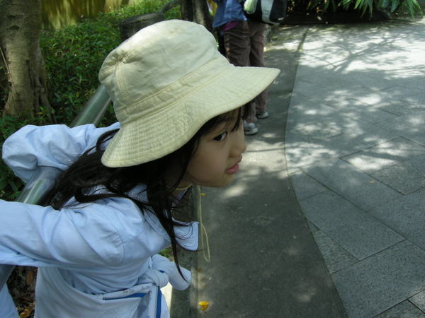 DSCN5866.JPG DSCN5866.JPG