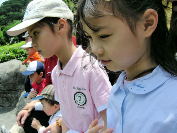 FSCN5868.JPG FSCN5868.JPG